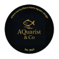 https://wwwaquaristcom.odoo.com/